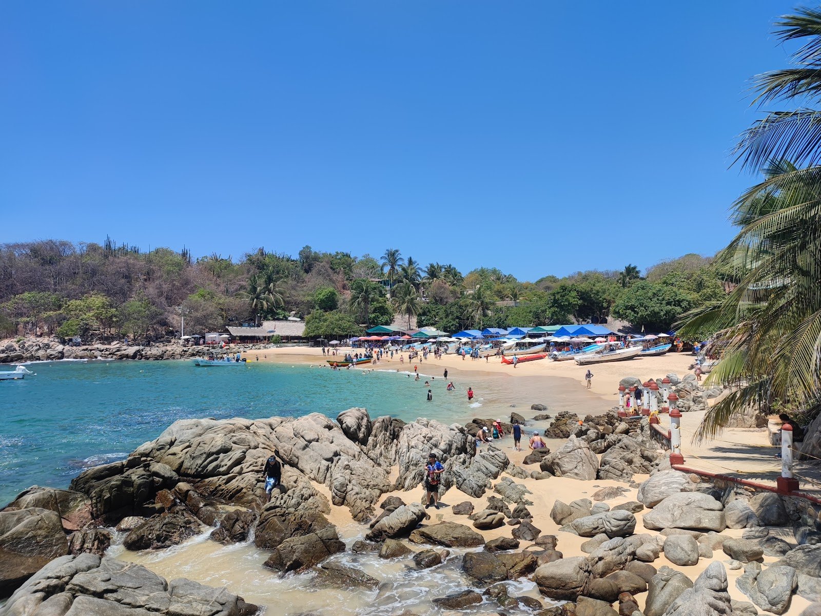 Puerto Escondido, Mexico Travel Guide : Things to Do, Beaches & Tips